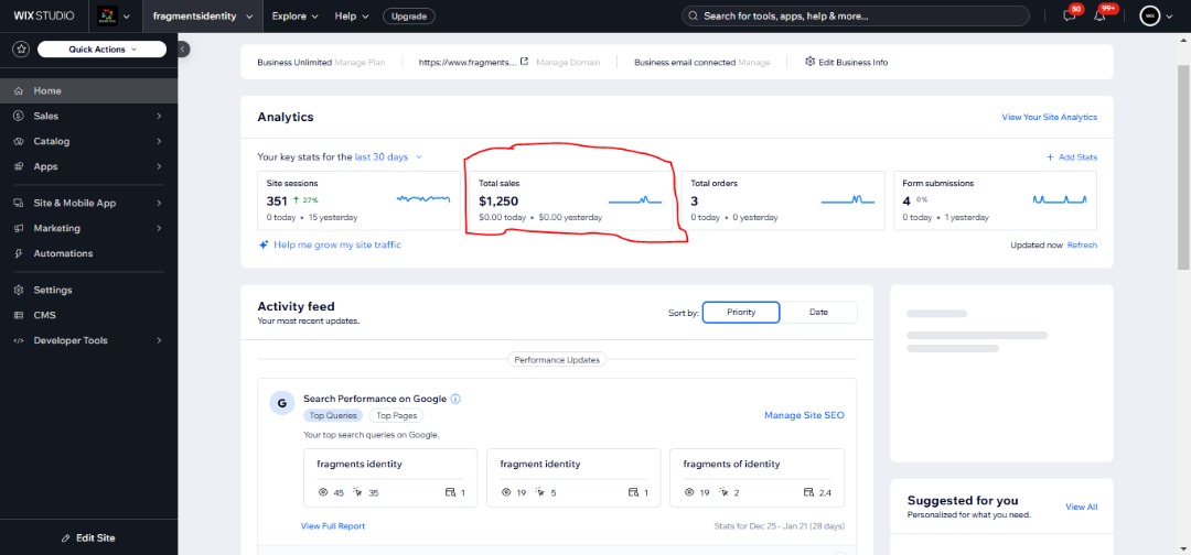 Client dashboard showing $1,250 in total sales with search performance data
