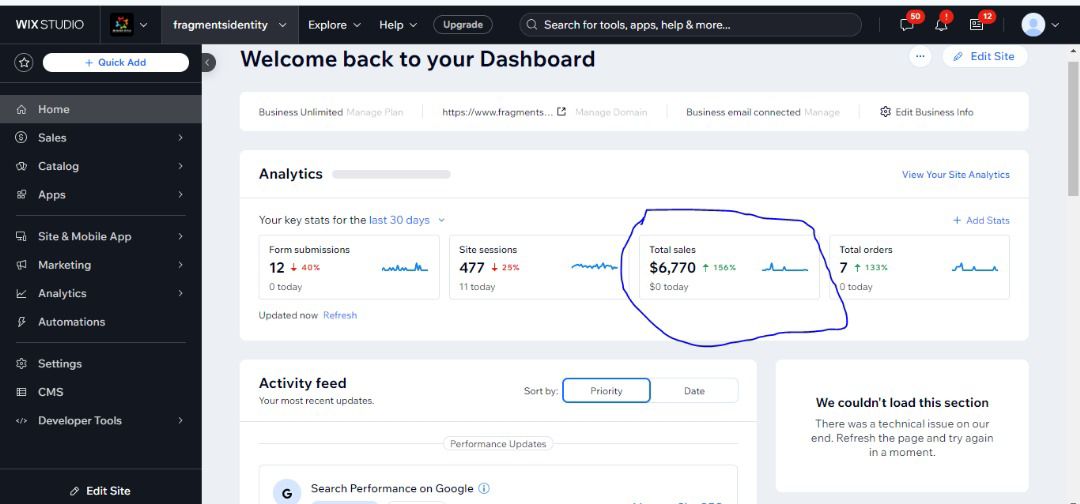 Client dashboard showing $6,770 in total sales and 156 percent growth