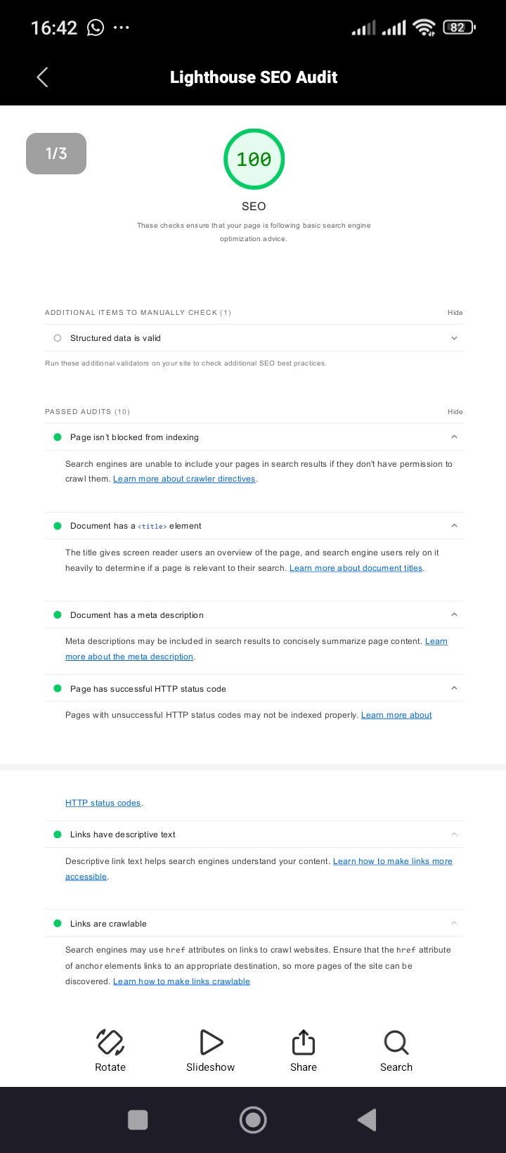 Lighthouse SEO audit showing a perfect score of 100 and passed audits
